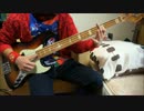 ももいろクローバーZ「Chai Maxx ZERO」BASS