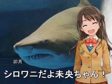 シロワニだよ未央ちゃん