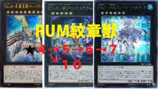 【遊戯王ＡＤＳ】新生ＲＵＭ紋章獣