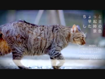 【NNI】 ちょっと早起きした時の景色 【つこ(ウオアP)】