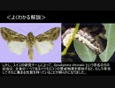 ゆっくり動物雑学「植物が出す警戒物質を…」