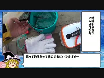 まったり釣行記②☆投げサビキ五目釣り