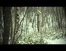 ノルウェーの森／高中正義とユーミン