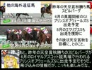 魔理沙の居酒屋競馬予想　175　1月第4週　『AJCC』
