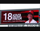 広島東洋カープ　2014年観戦時の投手安打集