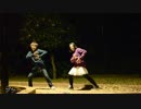 【みーとぼーる】ゆるふわ樹海ガール　踊ってみた【こまちゅぴん】