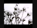 【nijiniji】嵐 Dear Snow 女子が歌ってみた