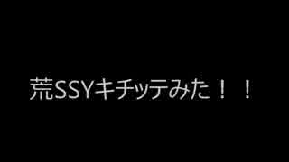 荒SSY　キチってみた！！※変態が嫌いな方は視聴をオススメいたしません