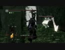 今更ダクソでカンストホスト活動！【下層】