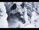 【オリジナル曲】Growling