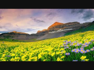 【作業用BGM】哀愁＋壮大Tranceメドレー part 186