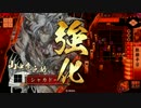シャカドーさんの戦国ロード　#11：艱難辛苦ｖｓ2馬風林火山【正3C】