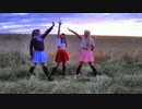 START DASH!! を踊ってみた 【Wish】