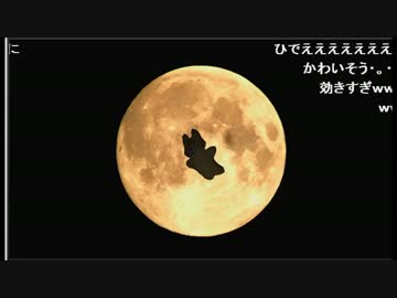 【すぺしゃるえま】スタバ、アンチの攻撃が効き過ぎて円形脱毛症になる