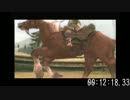 ゼルダの伝説 トワイライトプリンセス バグ有りAny%RTA GC日本版 PART1