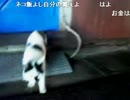 20150119-2 NER=ネル チャンネル放送が2枠目取れないので 1