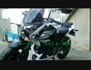 Z250テール、ウインカーLED化