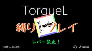 TorqueL縛りプレイ Part1　Chamber1と2　こっち！