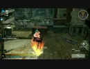 【FWPVP投コメ】市街地Bスタート殲滅戦 カッツェエクソダス