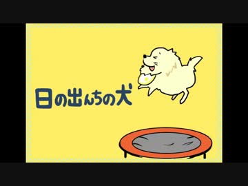 日の出んちの犬　トランポリン編