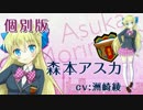 ぞい姉さんのカーナビ