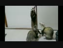 【フェレット】おやつの時間2