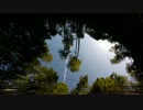 【長老の杜】サバゲ動画【2015.01.13】