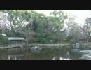 平成27年靖國神社：冬