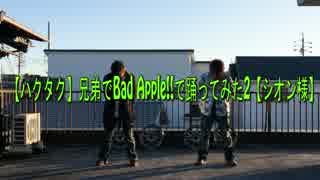 【ハクタク】兄弟でBad Apple!!で踊ってみた2【シオン様】