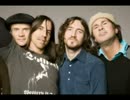 John Frusciante answering fans Part5