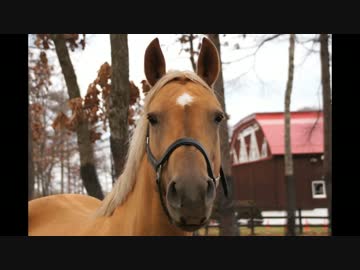 閑散期の北海道へ遊びに行こう【北の大地】