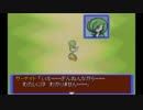 ポケモン達の巣窟に白き布が挑む！！実況プレイ　part22