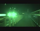 【心霊気違】金野井大橋(※問題の個所有)