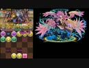 【パズドラ】第6回チャレンジダンジョンLv.10　白メタ【ノーコン】