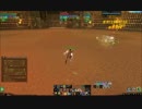 ArcheAge　1年分