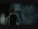 【零 濡鴉ノ巫女】だらだら美女撮影【プレイ動画】part07