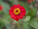 all is love love start melting snow.wmv