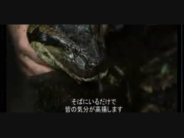 潜入！？巨大アナコンダの体の中