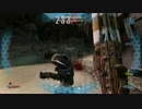 Borderlands2 デスブロッサム＋遠距離対応ビルド