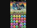 【パズドラ】ソニアグラン降臨 ヴィシュヌPT