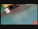 SD氏　魚介類食べつくし かにみそ 5/6 2015/1/31