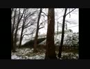 雪の中を走り抜けるホワイトカラーの西武多摩湖線だって！3連発