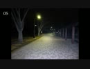 【心霊気違】武蔵野中央公園(SLIDE)