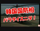 【韓国国防相】パラダイスニダ！