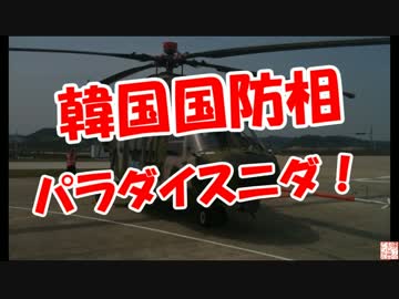 【韓国国防相】パラダイスニダ！