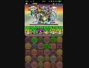 【パズドラ】ソニアグラン降臨 光メイメイPT
