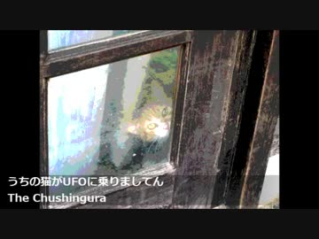 The Chushingura - うちの猫がUFOに乗りましてん
