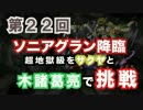 #22　ソニアグラン降臨　超地獄級　木諸葛亮（と、サクヤ）