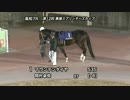第12回黒潮スプリンターズカップ パドック