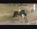 第12回黒潮スプリンターズカップ 本馬場入場